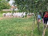 2023-06-27 Vlet